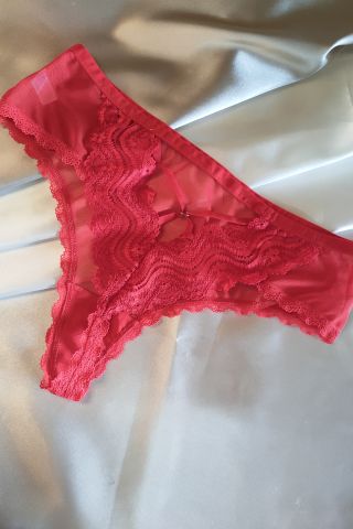 Seksi Büyük Beden Dantel Detaylı Külot - Kanatlı Butik